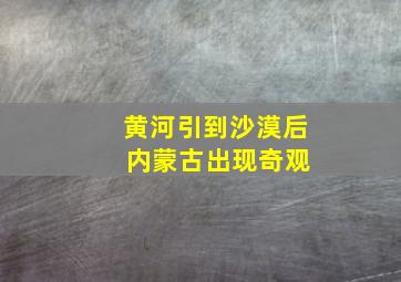 黄河引到沙漠后 内蒙古出现奇观